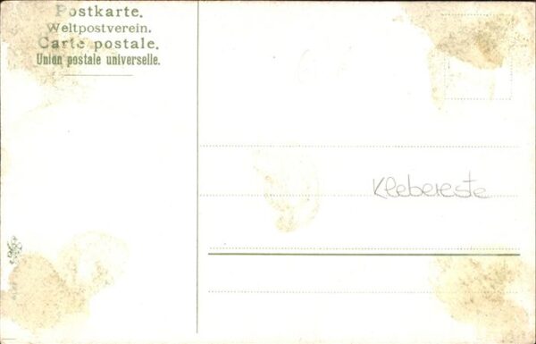 Voegel – Bild 2