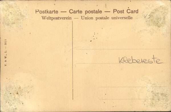 Hirsch – Bild 2