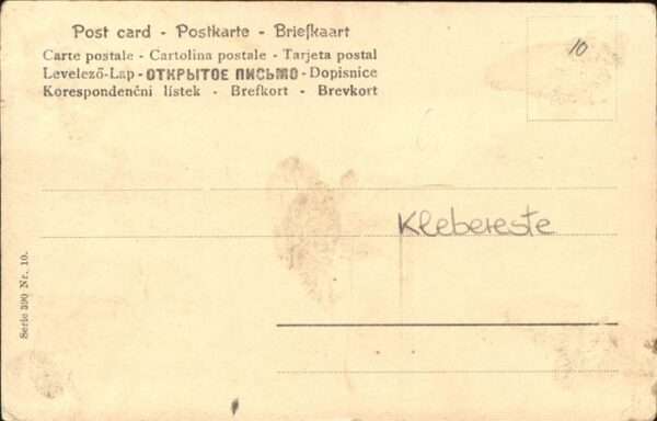 Voegel – Bild 2