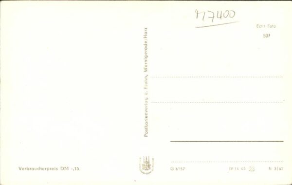 Hirsch – Bild 2
