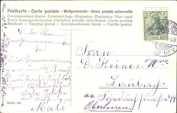 Ziege – Bild 2