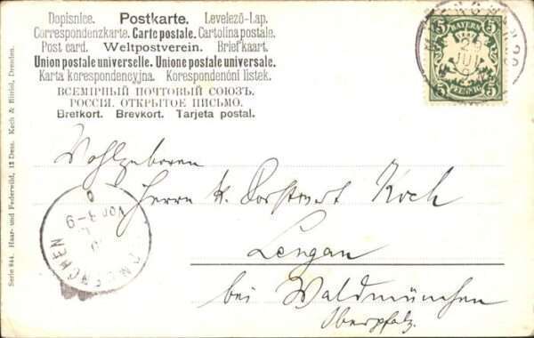 Voegel – Bild 2