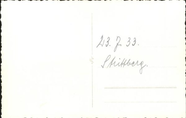 Jagd Reh – Bild 2