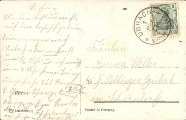Jagd Jäger Fasan Hund Gewehr – Bild 2