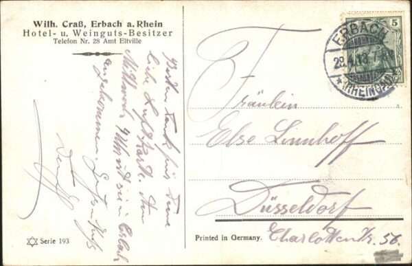 Jagd Hase Fasan – Bild 2