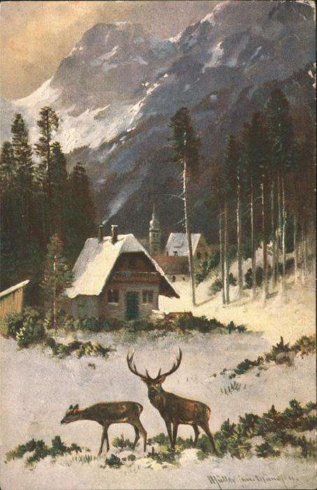 Hirsch