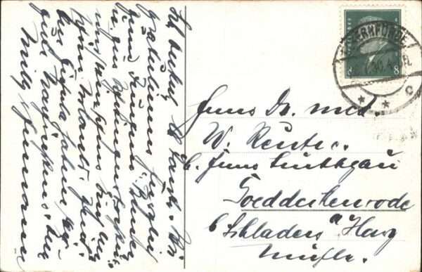 Hirsch – Bild 2