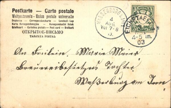 Schafe – Bild 2