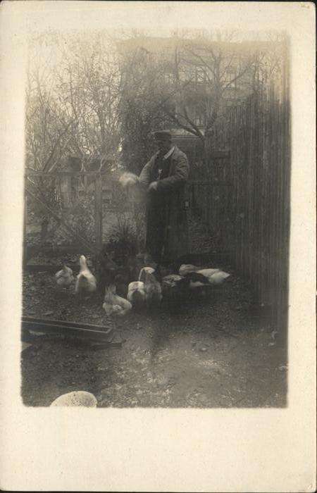 Enten