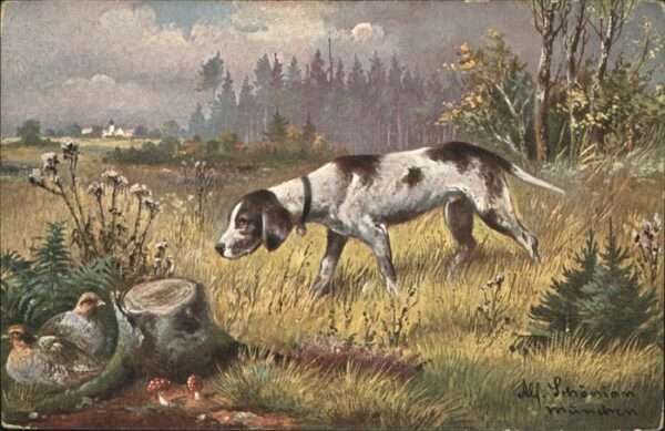 Jagd Fasan Hund