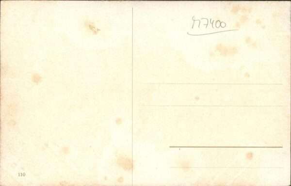 Hirsch – Bild 2