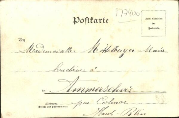 Jagd Jäger Frau – Bild 2