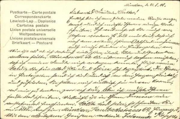 Hirsch – Bild 2