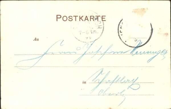 Hunde – Bild 2