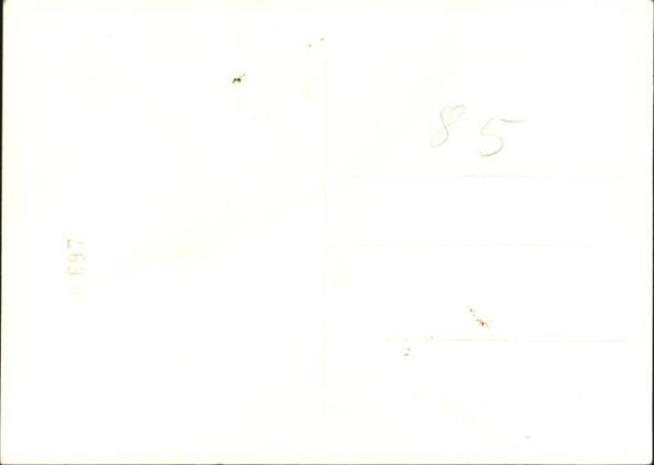 Jagd Jagdhornbläser – Bild 2