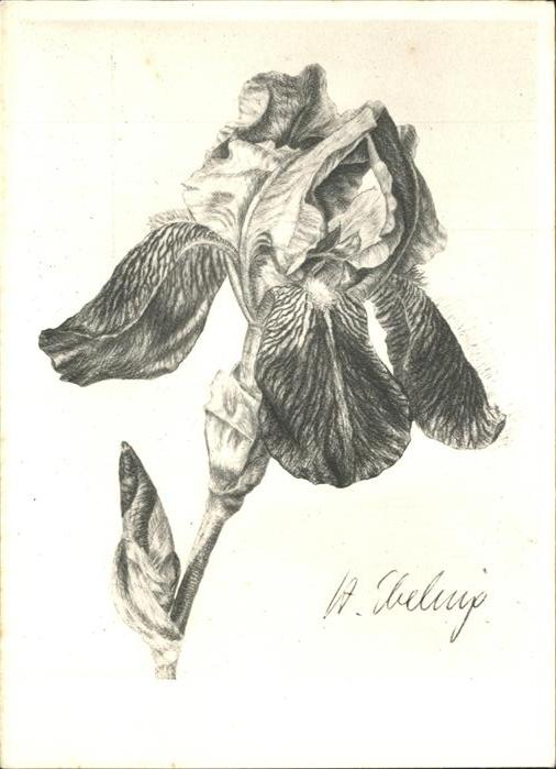 Kuenstlerkarte Hildegard Ebeling Iris