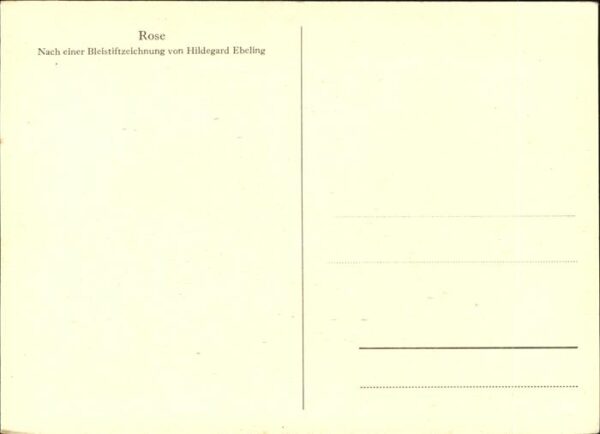 Hildegard Ebeling Rose – Bild 2