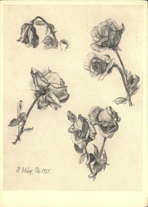 Kuenstlerkarte Hildegard Ebeling Rosen