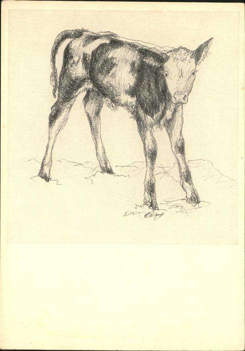 Hildegard Ebeling Kalbi