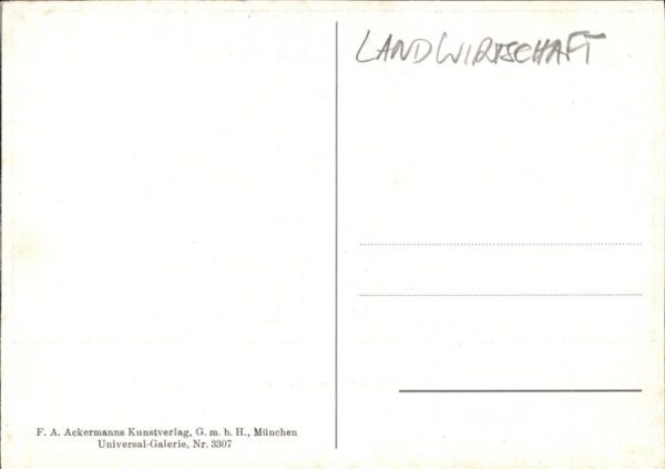 Landwirtschaft Pflug Pferd – Bild 2