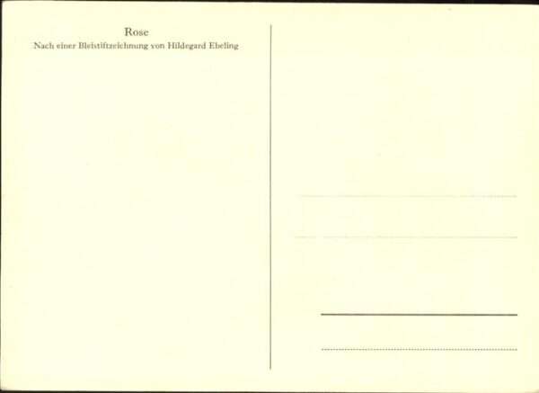 Hildegard Ebeling Rose – Bild 2