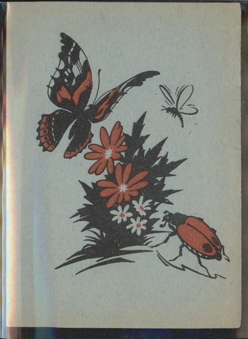 Schmetterlinge