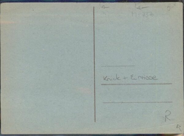 Schmetterlinge – Bild 2