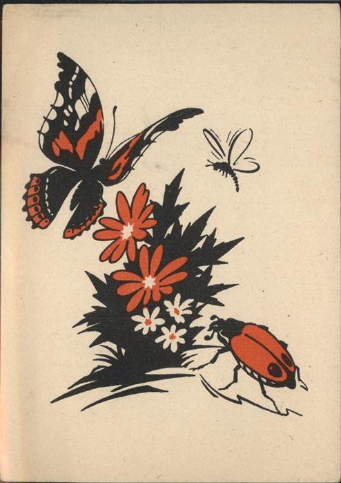 Schmetterlinge