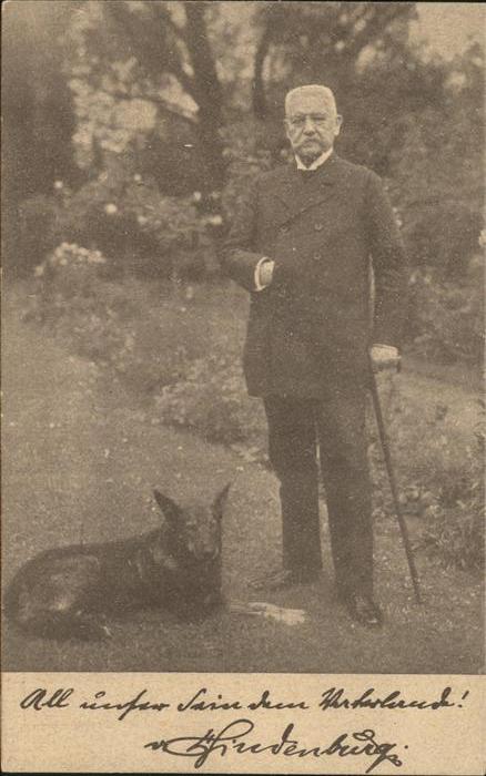 Schaeferhunde