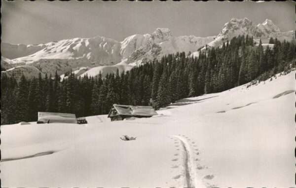 Baad Mittelberg Kleinwalsertal Bärguntalpe