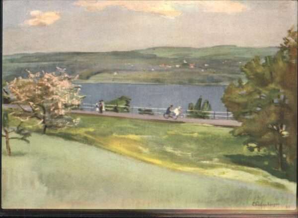 Hallwil Hallwilersee