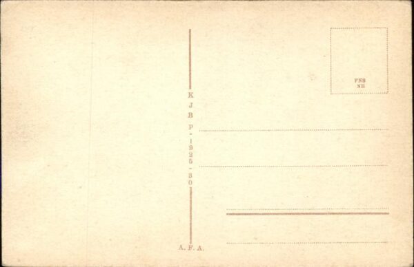 Arad Primaria – Bild 2