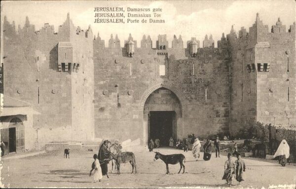 Jerusalem Yerushalayim Damaskus Tor Esel  Menschen