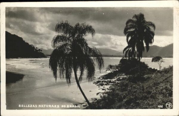 Brasilien Brazil Palmen Strand