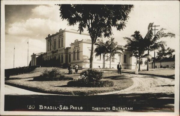 São Paulo Instituto Butantan