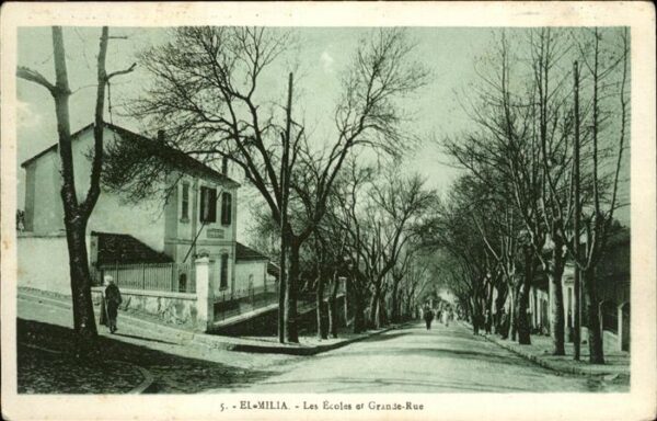 Alger Algerien El Milia Les Ecoles Grande Rue