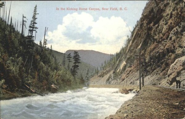 Field Kicking Horse Canyon near Field B. C. N