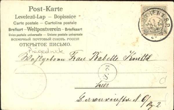 Verlag Meissner und Buch 255 Rosen Kind Namenstag – Bild 2