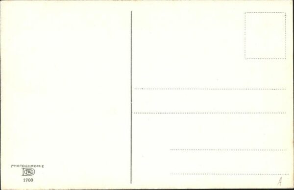 Verlag Photochemie Nr. 1700 Kühe – Bild 2