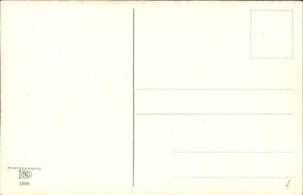 Verlag Photochemie Nr. 1698 Kühe – Bild 2