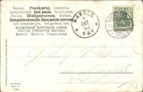 Reh – Bild 2