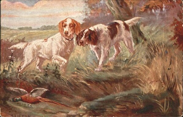 Hunde Jagdhunde