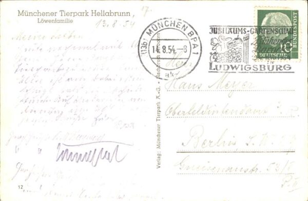 Zoo Löwenfamilie Hellabrunn – Bild 2