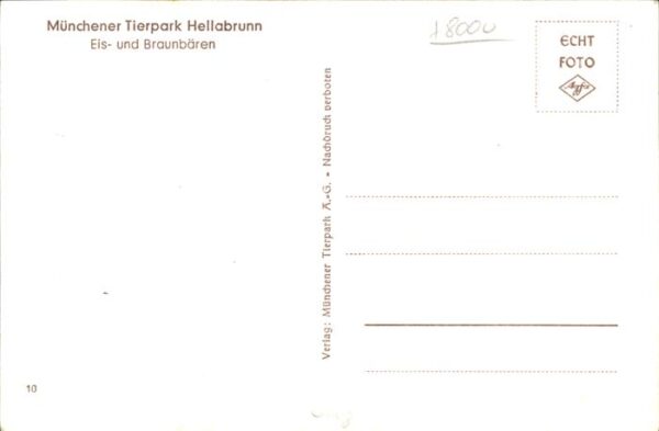 Zoo Eis und Braunbären Tierpark Hellabrunn – Bild 2