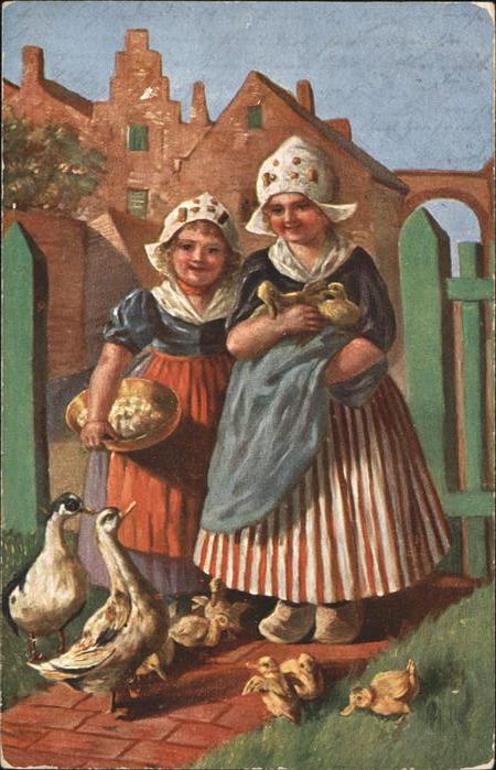 Trachten Holland Gänse Küken