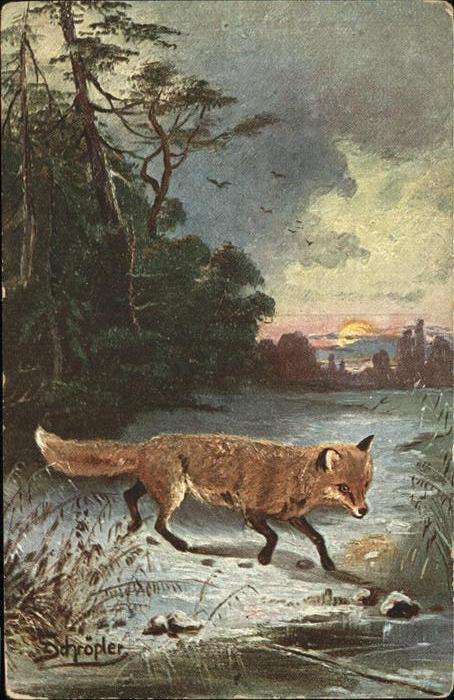 Kuenstlerkarte 211 Schröpler Fuchs