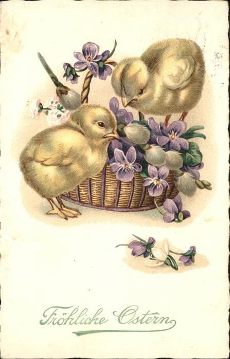 Ostern Easter Paques Küken