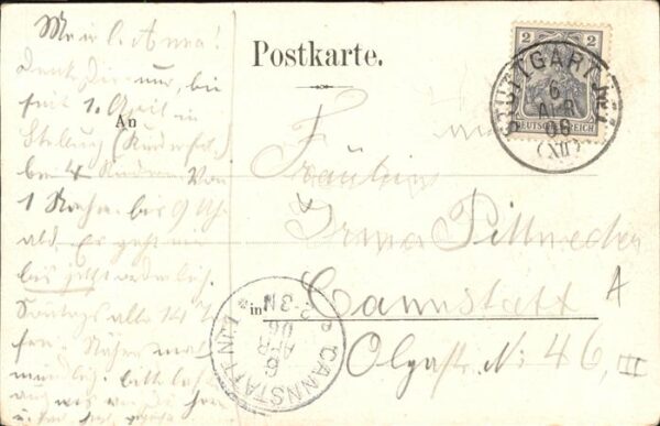 Voegel – Bild 2