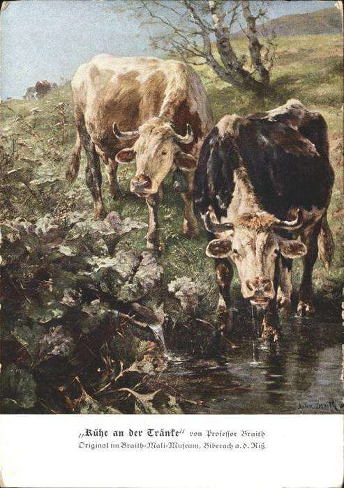 Kuehe von Prof. Braith