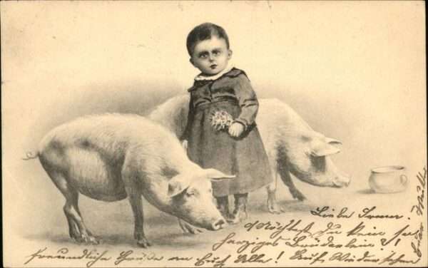Schweine Kind